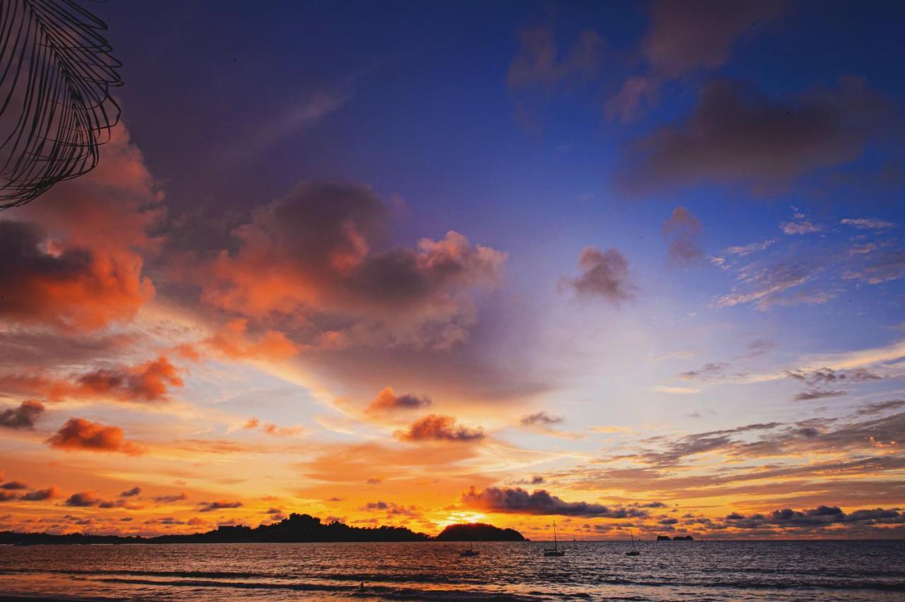 Bahia Del Sol Beach Front Boutique Hotel Potrero  Luaran gambar