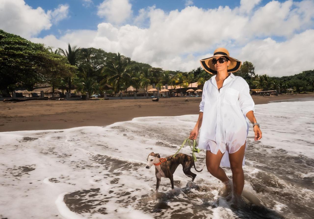 Bahia Del Sol Beach Front Boutique Hotel Potrero  Luaran gambar